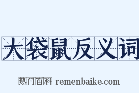 大袋鼠反义词是什么意思的图片